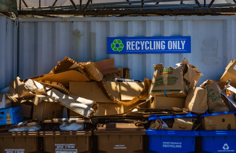 Recycling Rules in SW London – 5 Things to Know in 2026 
