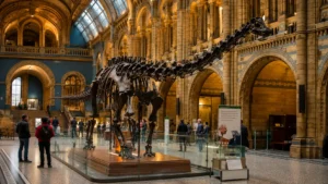 See Dinosaurs at the Natural History Museum