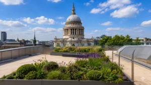 Wide rooftop garden with purple flowers and greenery overlooking the dome of St Paul’s Cathedral in central London.